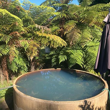 Whare&Geothermal Pool By Lake Taupo トゥランギ エクステリア 写真