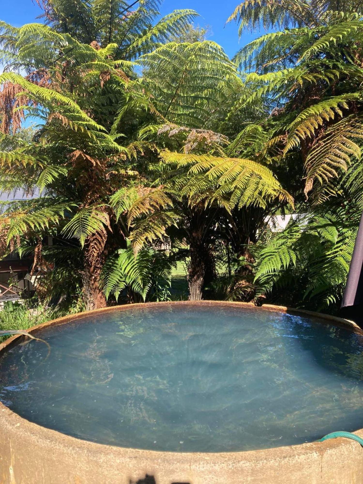 Whare&Geothermal Pool By Lake Taupo トゥランギ エクステリア 写真