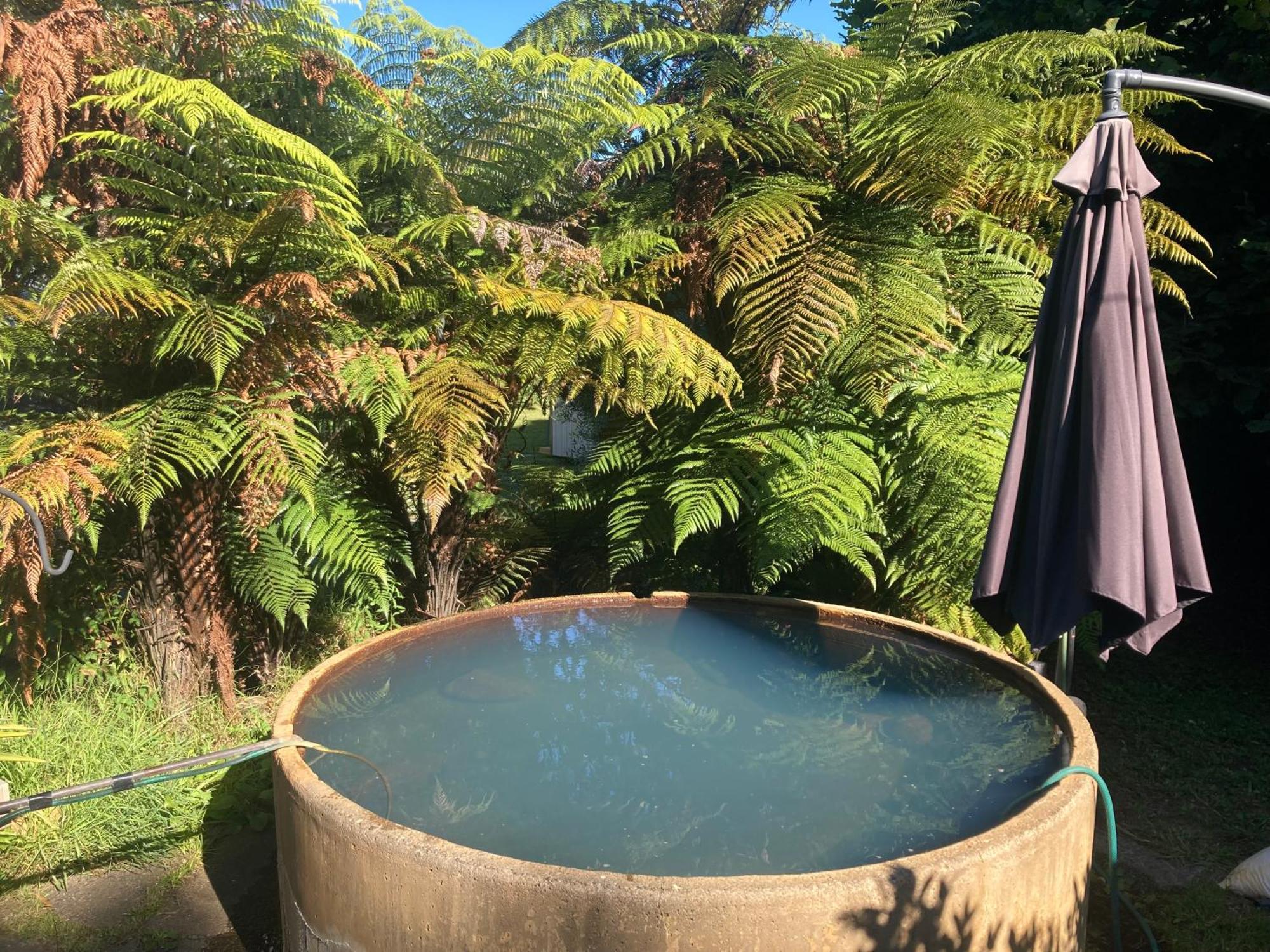 Whare&Geothermal Pool By Lake Taupo トゥランギ エクステリア 写真